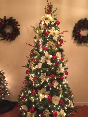 image2015001